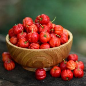 Acerola (2)