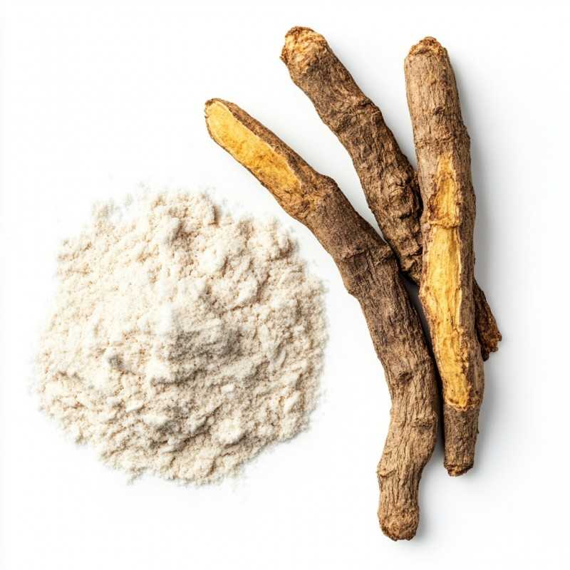 Inulin – ein natürliches Präbiotikum für die Harmonie Ihres Darms