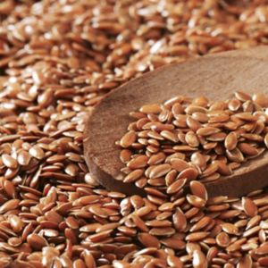 Leinsamenpulver