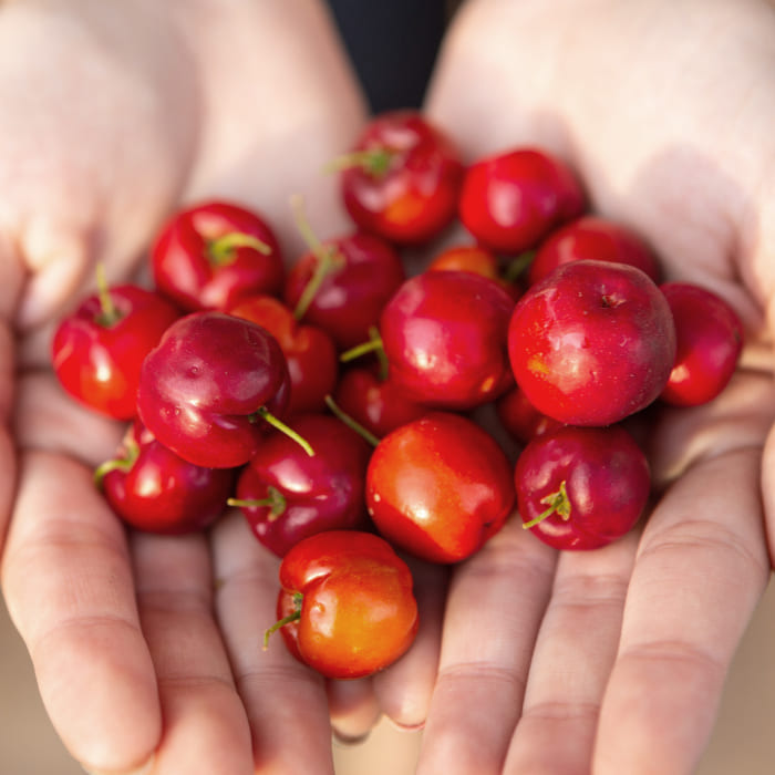 Acerola – natürliche Vitamin-C-Superfrucht und ihre gesundheitlichen Vorteile